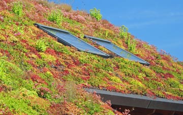 The Lawe living roof systems
